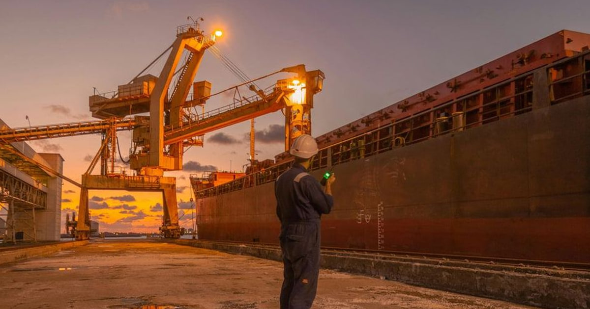 Havenarbeiders en havenspanning in mondiale scheepvaartnetwerken